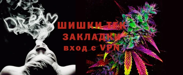 тгк Горнозаводск