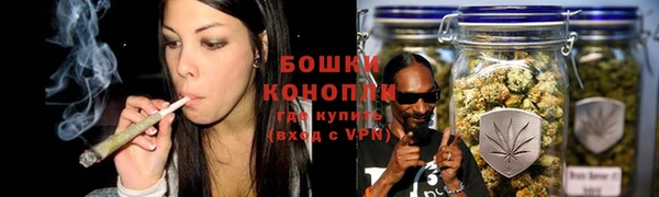сатива Горно-Алтайск