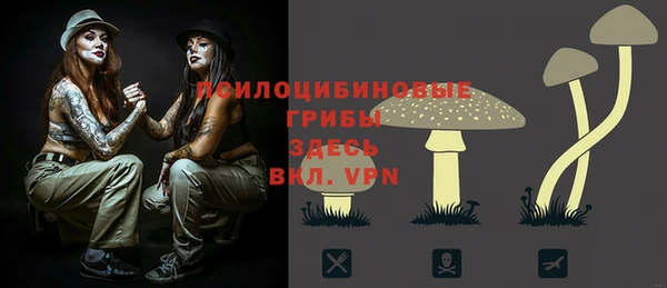 тгк Горнозаводск
