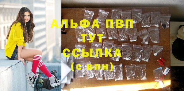 сатива Горно-Алтайск