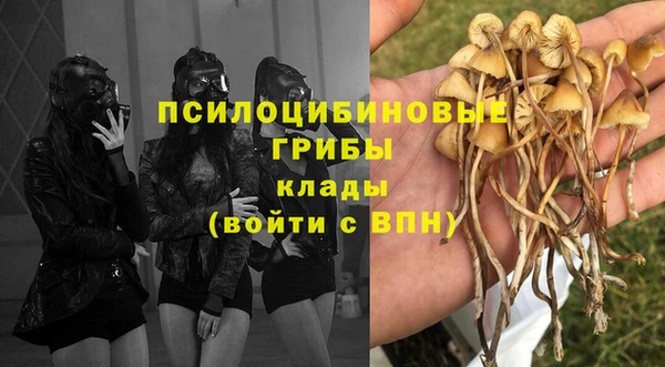 тгк Горнозаводск