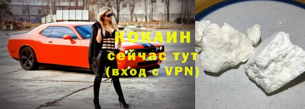 МДПВ Чекалин
